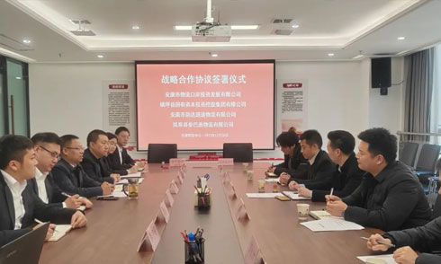 WG电子官网公司与镇坪国投等3家公司签署战术合作和谈